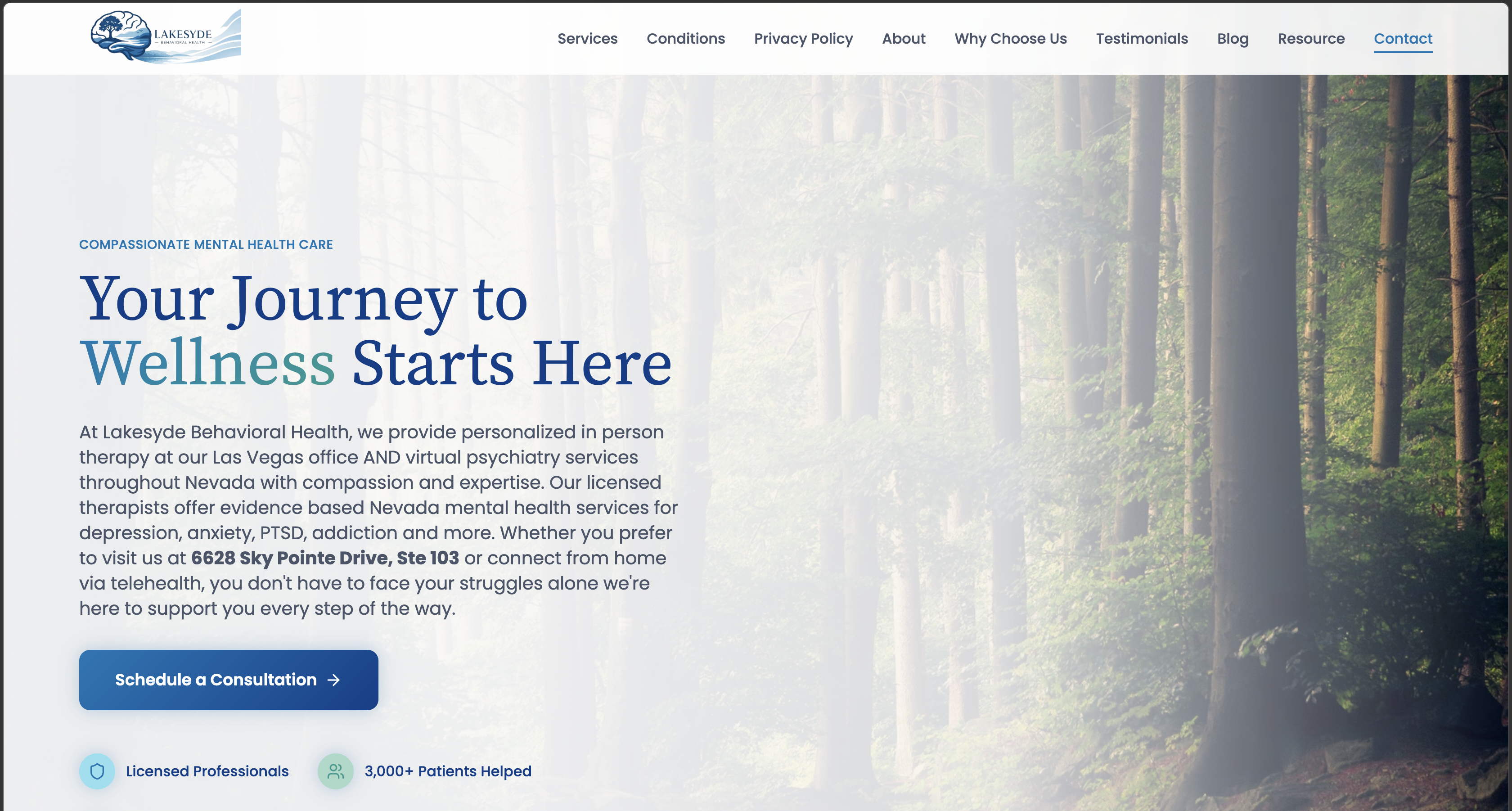 Mental Health Website